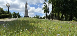 В Днепре в парках сделали мавританские газоны