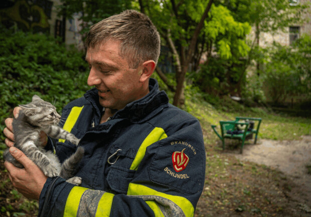 Спасатели в Шевченковском районе спасли котенка, забравшегося высоко на дерево. || Фото: facebook.com/DSNSKyiv