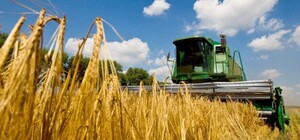 В Одесской области завершили сбор ранних зерновых