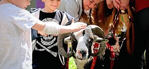 Зверята из Киевского зоопарка посетили маленьких пациентов 