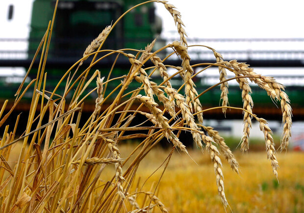 В Запорожской области оккупанты похитили уже 1,4 миллиона тонн зерна. || Фото: AgroExpert.md