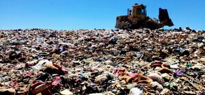 На свалке в Кривом Роге нашли труп женщины: новые подробности инцидента