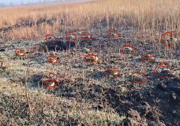 Военные показали плотно заминированные поля в Запорожской области. || Фото: t.me/ivan_fedorov_melitopol