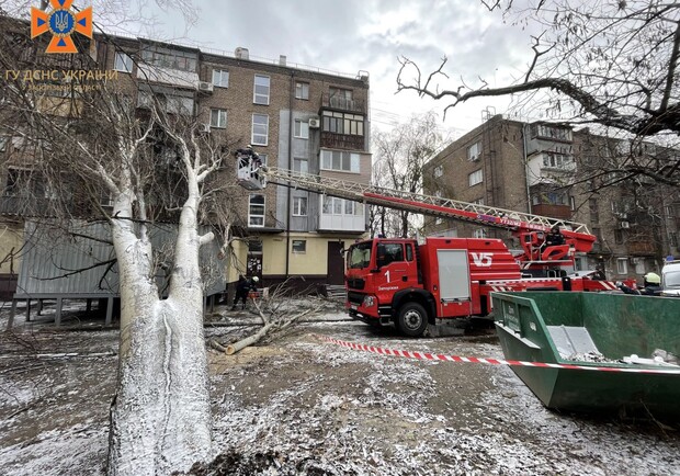 Падали дерева та застрягали автівки: запорізькі рятувальники ліквідували наслідки негоди. || Фото: t.me/gu_dsns_zp