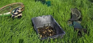 Житель Одесской области получил полтора года ограничения свободы за браконьерство