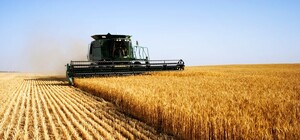 Аграрии Одесской области получили пять миллиардов гривен на развитие хозяйств