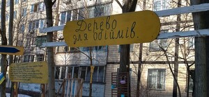 Дерево для объятий: в Днепре жители создали локацию по настроению