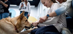 У Києві відкрився центр каністерапії – лікування за допомогою собак - фото