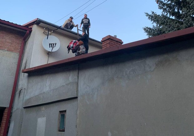 З даху львівського будинку зняли мавпу. || Фото: facebook.com/Орест Залипський