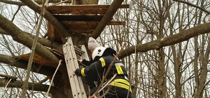 У Стебнику рятувальники визволили дитину з саморобної хатинки на дереві