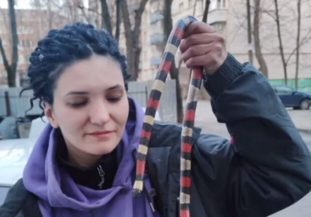 У Києві дівчина під капотом свого авто виявила рідкісну змію. || Фото: facebook.com/KARG.kyivanimalrescuegroup