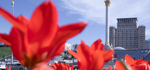 В Киеве расцвели тюльпаны: локации для фото 