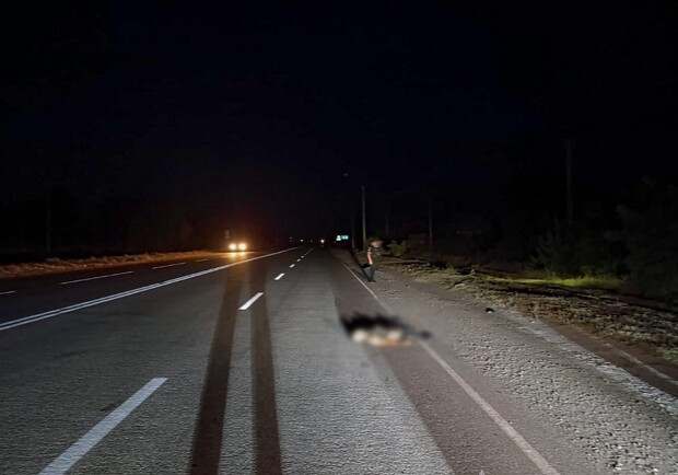 Под Запорожьем насмерть сбили военного. || Фото: zp.npu.gov.ua
