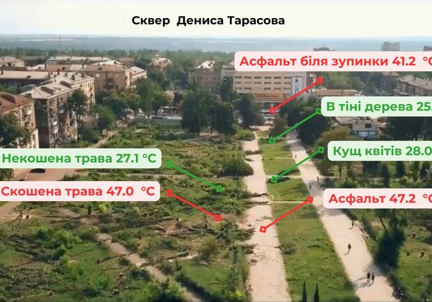 В Запорожье измерили температуру асфальта и в тени деревьев. || Фото: facebook.com/ecosense.ngo