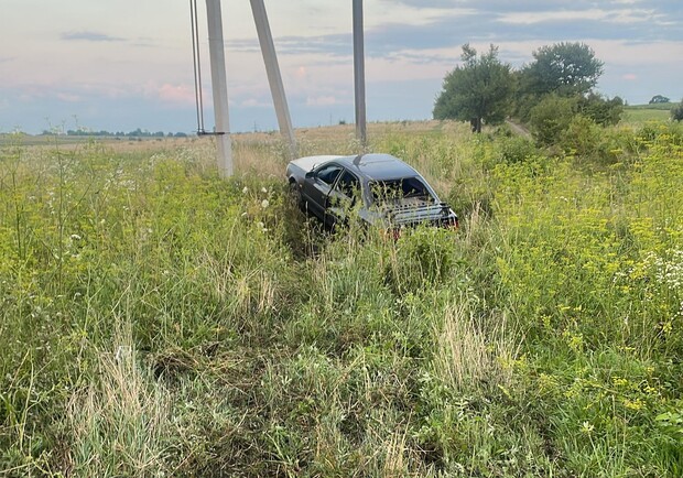 У ДТП неподалік Львова загинула жінка, яка переводила через дорогу корову. || Фото: lv.npu.gov.ua.