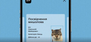 В Украине будут введены электронные ветеринарные паспорта для домашних животных