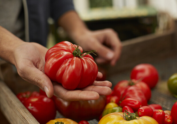 Де на цих вихідних у Києві пройдуть продуктові ярмарки. Адреси