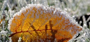 Какая погода будет в Одессе в эти выходные