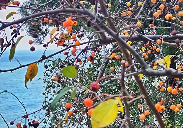 Куда пойти в Одессе бесплатно на текущей неделе