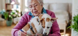 Пенсии 2025: кто получит повышение и какие изменения ждут украинцев