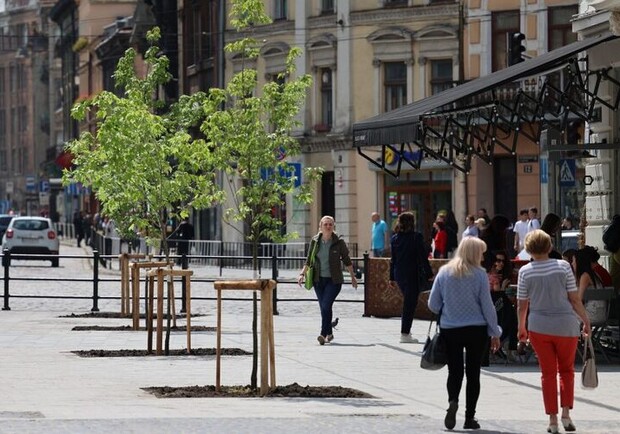 Торік у Львові висадили майже 8 тисяч дерев та кущів || Фото: city-adm.lviv.ua