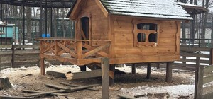 Экопарк под Харьковом атаковал беспилотник, погибли животные