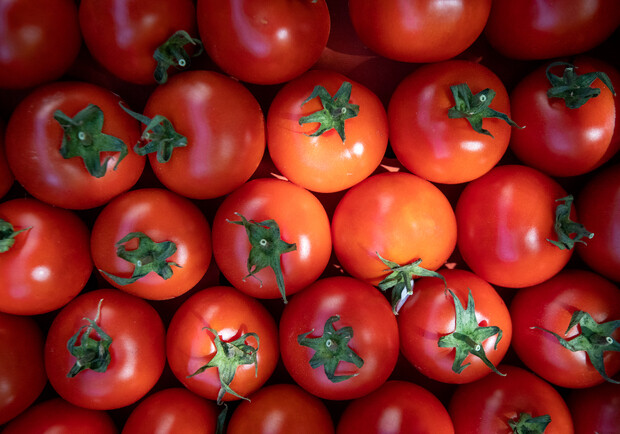 Где в эти выходные в Киеве пройдут продуктовые ярмарки. Адреса || Фото: kyivcity.gov.ua