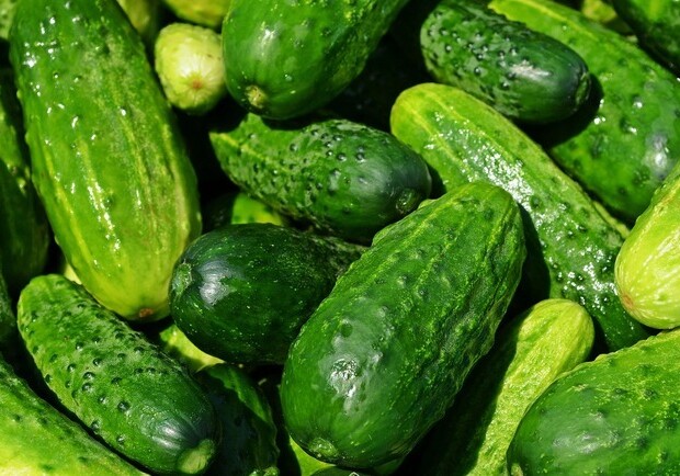 Де цього тижня у Києві пройдуть продуктові ярмарки. Адреси || Фото: pixabay.com