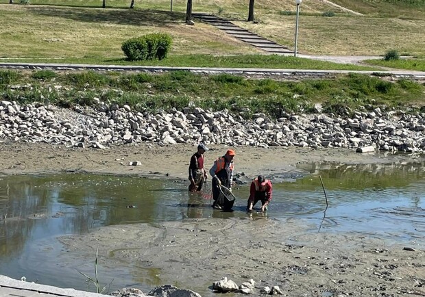У Запоріжжі обміліли водойми в Дубовці та на Райдузі: коментар голови ОВА -|| фото: t.me/info_zp