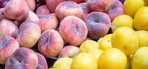 Где на этой неделе в Киеве пройдут ярмарки. Адреса