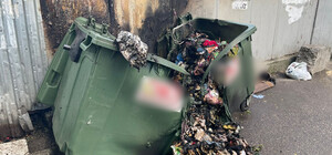 В Одессе пенсионерка уничтожила мусорные баки и повредила гараж с автомобилем: подробности