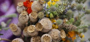 1 августа – Медовый Спас: что можно и чего нельзя делать на Маковея