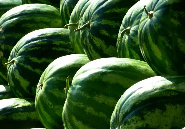 Де на цьому тижні у Києві пройдуть продуктові ярмарки. Адреси