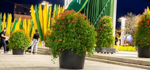 Праздничные мероприятия ко Дню города пройдут в метро (программа)