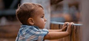 У Запоріжжі від укусів тварин постраждали троє дітей: як уберегтися та що робити