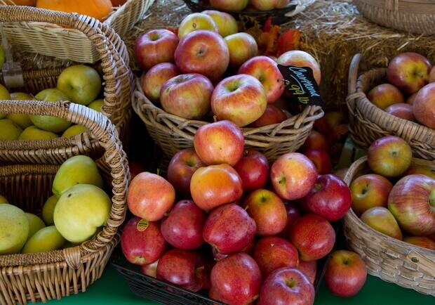 Де цими вихідними у Києві пройдуть продуктові ярмарки. Адреси
