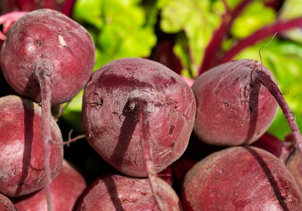 Де цими вихідними у Києві пройдуть продуктові ярмарки. Адреси