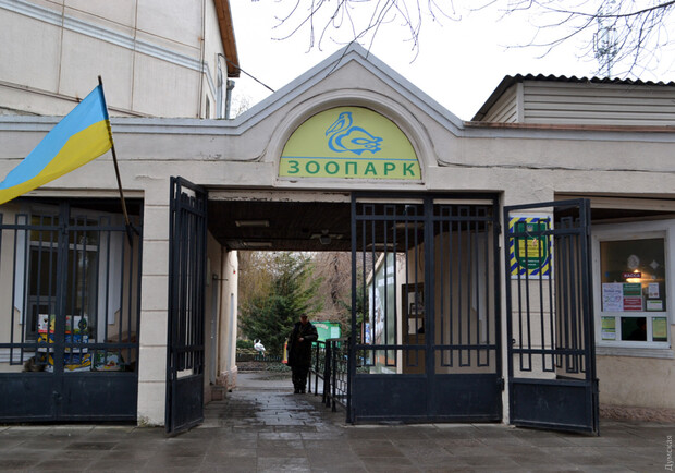 В Одеському зоопарку капітально оновлять опалення: роботи оцінюють майже в 5 мільйонів гривень