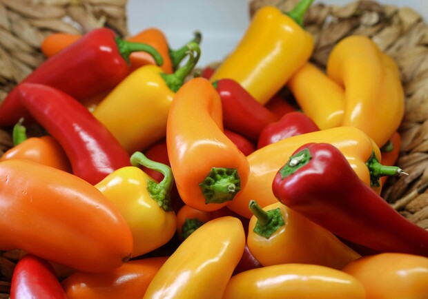Де цими вихідними у Києві пройдуть продуктові ярмарки. Адреси