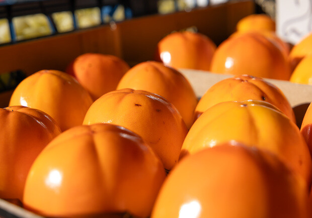 Де на цьому тижні у Києві пройдуть продуктові ярмарки. Адреси