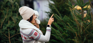 В Харькове назвали цены на искусственные ели