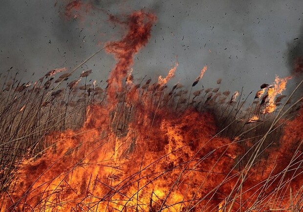 Черговий дроновий удар по Одещині: на двох островах горить очерет