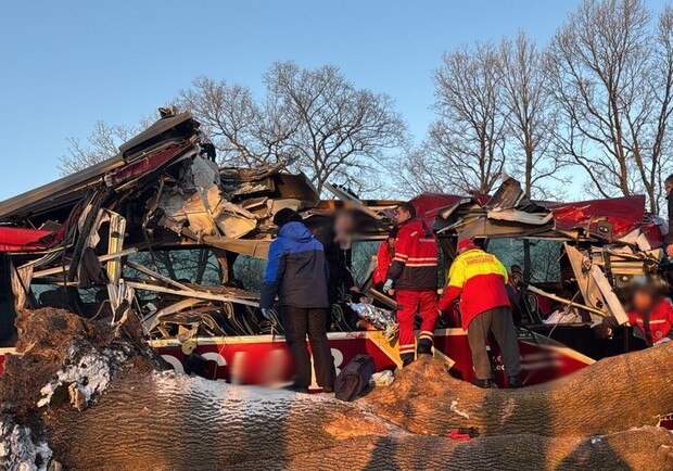 Автобус «Відень-Київ» протаранив дерево у Львівській області, семеро людей госпіталізовано