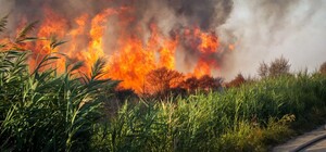 Пожар на полях орошения в Одессе загрязнил воздух: поджигательницу будут судить