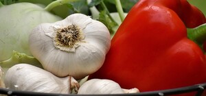 Где на этой неделе в Киеве пройдут ярмарки. Адреса