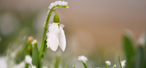 Еще с морозами: какая погода будет в Одессе в эти выходные