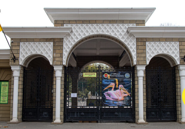 Зоопарк можуть перенести: в Одесі виникла нова ідея, але керівництво проти