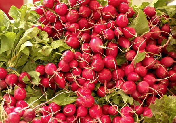 Де цими вихідними у Києві пройдуть продуктові ярмарки. Адреси