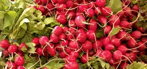 Где в эти выходные в Киеве пройдут продуктовые ярмарки. Адреса