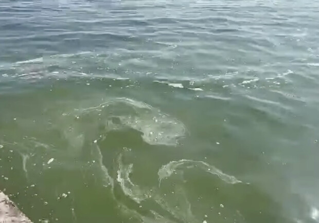 В Одесі у морі біля «Ланжерона» та «Відради» виявили плями з запахом олії: що це таке